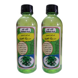 کود مایع برگ انجیری گلبان کود مدل Fast growth حجم 100 میلی لیتر بسته دو عددی